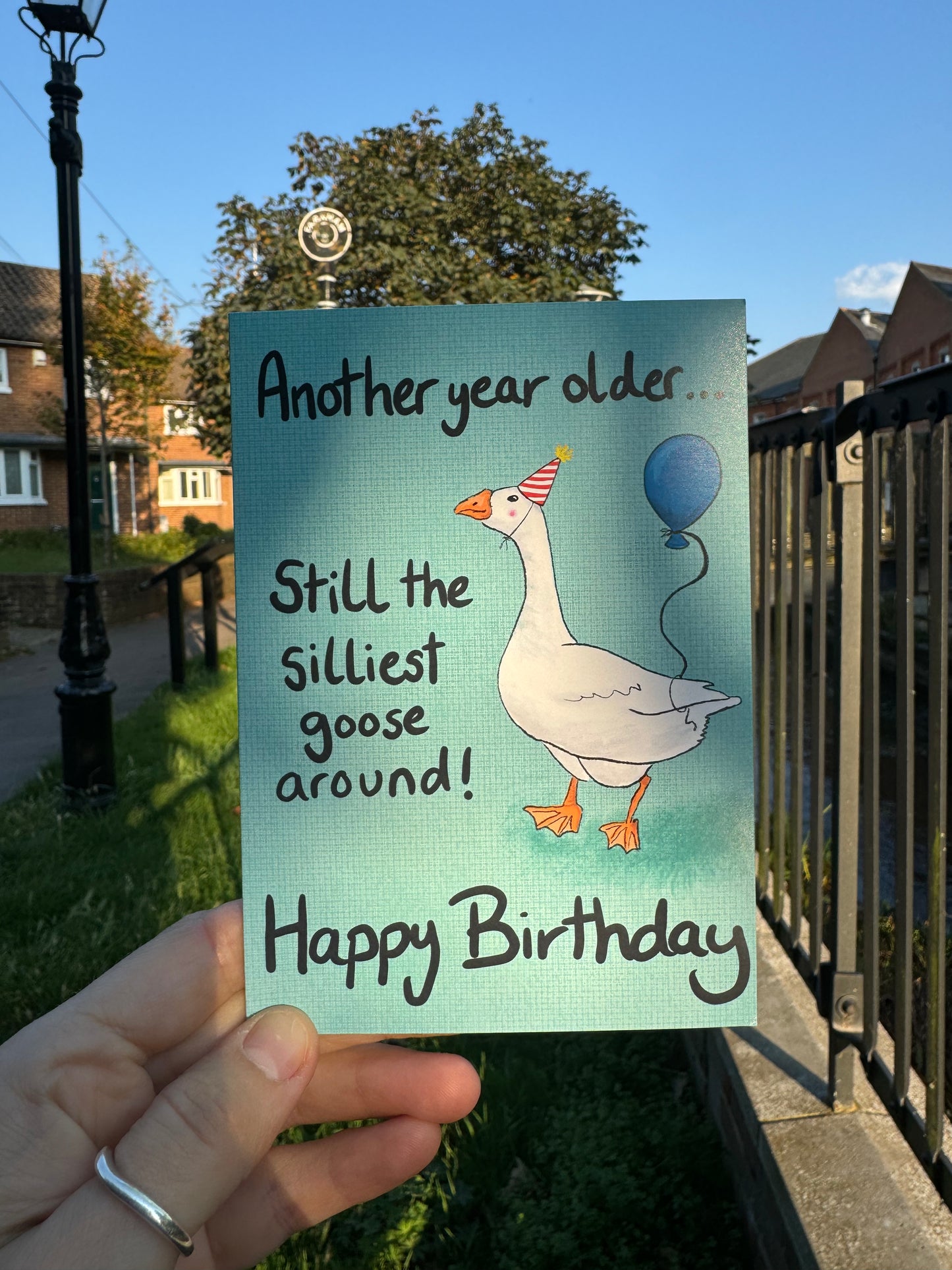 Silly Goose Birthday Greeting Card