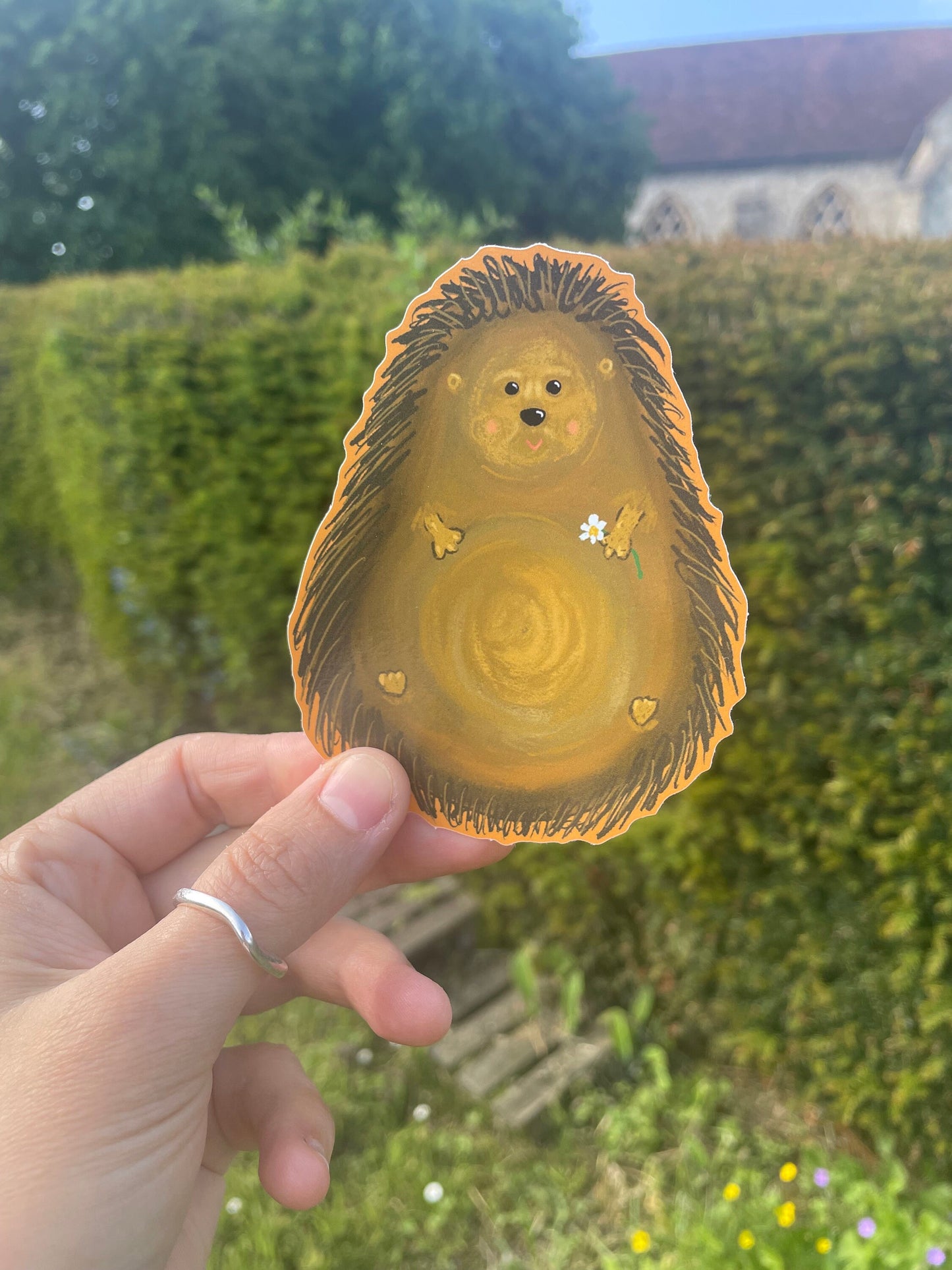 Hedgehog Tummy Vinyl Sticker